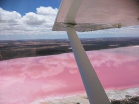 Pink Lake.jpg